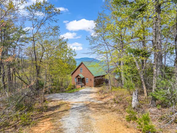 Tranquil Cozy Saluda Cabin Views, Pets, Adventure - Image 4