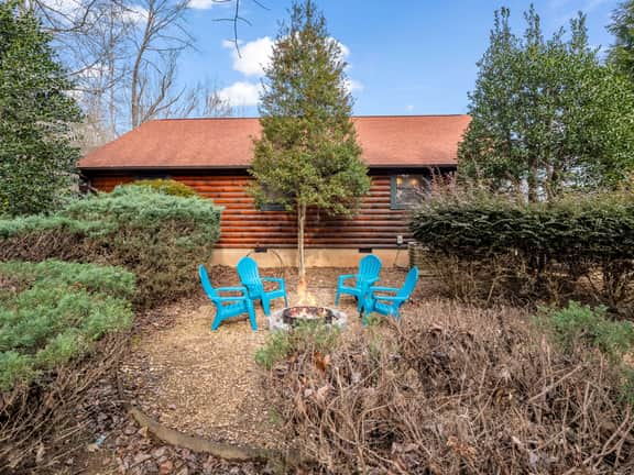 Ridge View Cabin with Fireplace Pet Friendly- - Image 3