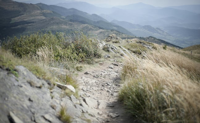 Rocky mountain trail winding through grass with mountain views beyond